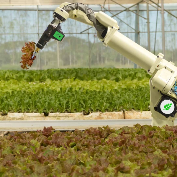 Agriculture