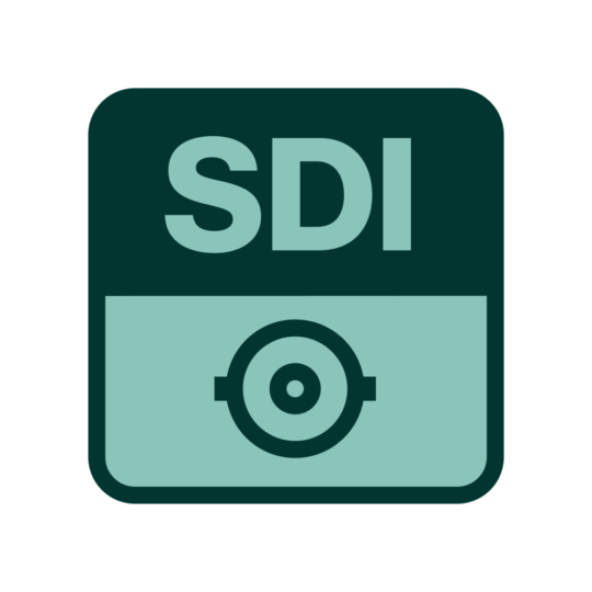 SDI Video Capture
