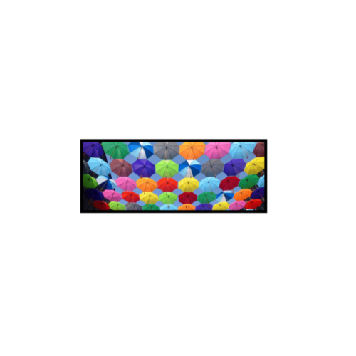 SH123N 12.3″ Full HD 1920×720 Stretch Display